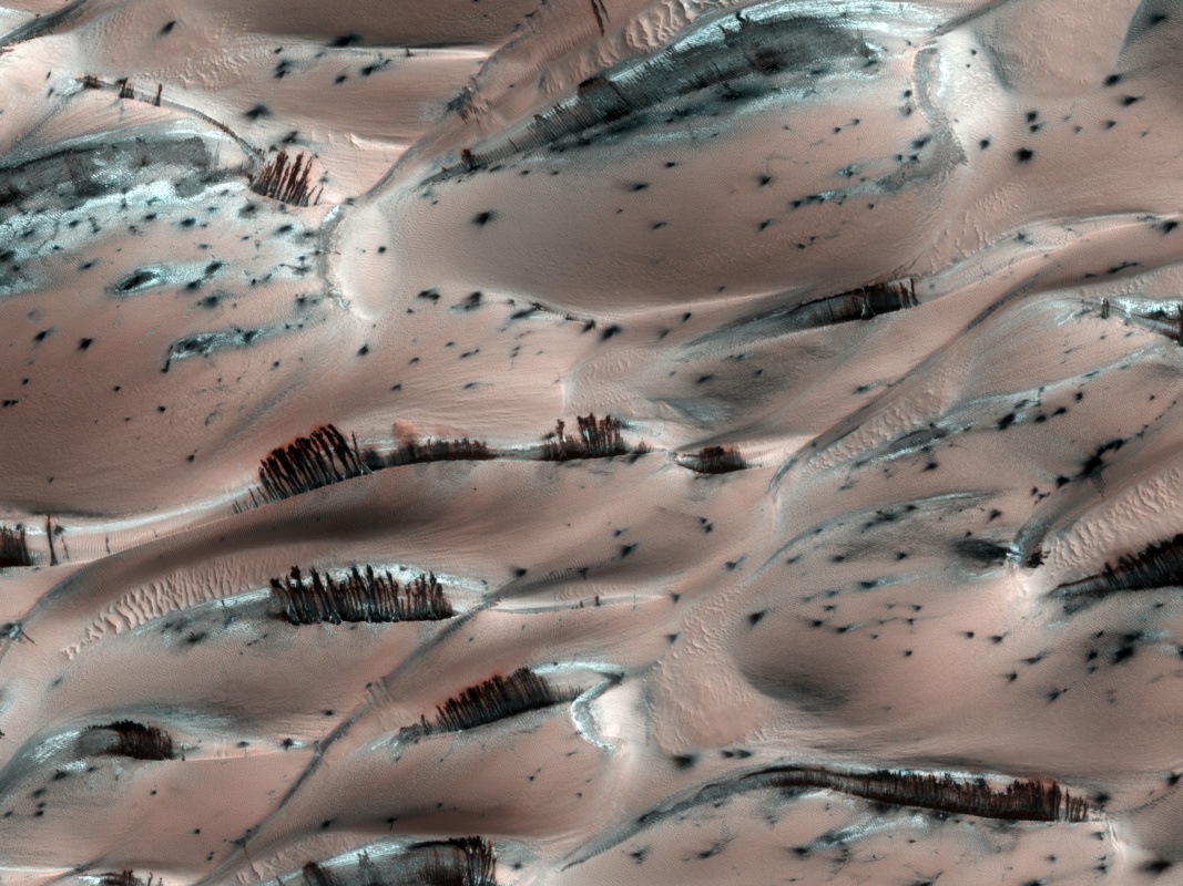  Mars'ın 21 inanılmaz fotoğrafı