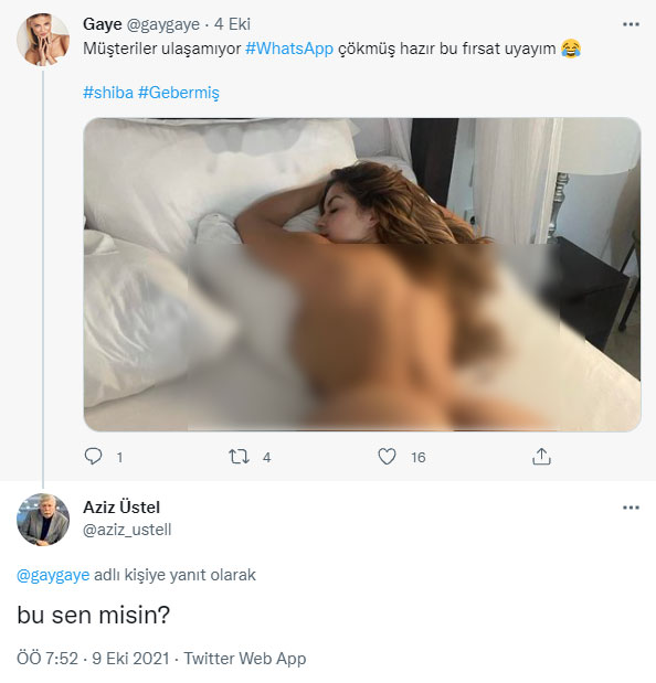 santiagodaki bekar kadnlarla tan afacanlar iş başında türkçe dublaj