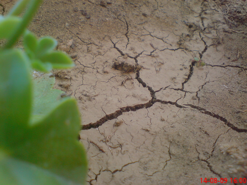  ===>3,2MPLİ k770/K790/K810/C510/P1 FOTOĞRAF PAYLAŞIM ARENASI<===