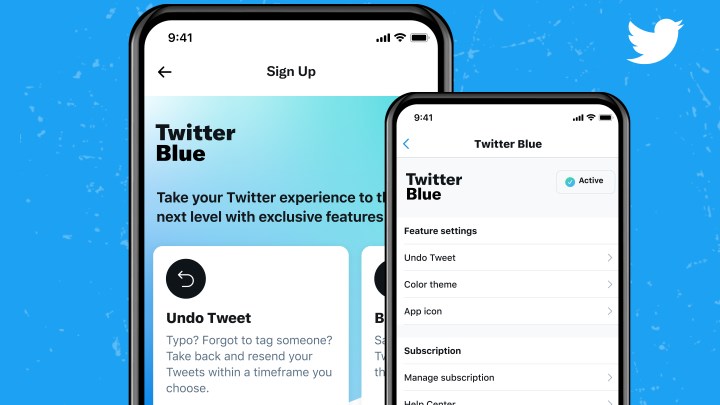 Twitter Blue nedir, mavi tik nasıl alınır?