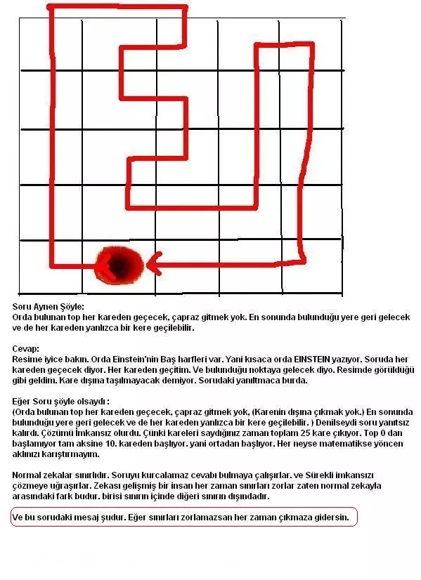  Einstein bu soruyu 24 saatde çözmüş//[yeni soru] 13:54