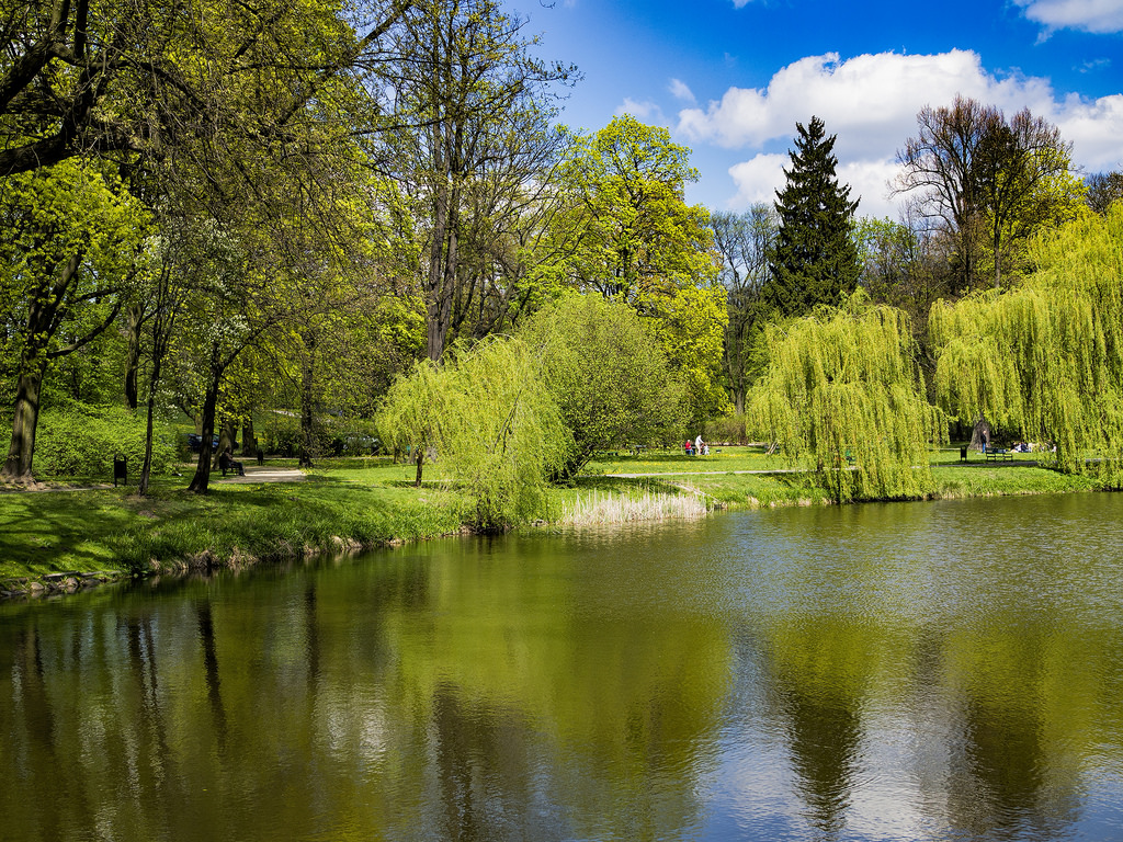  Bahçeköy'de bulunan Atatürk Arboretumu