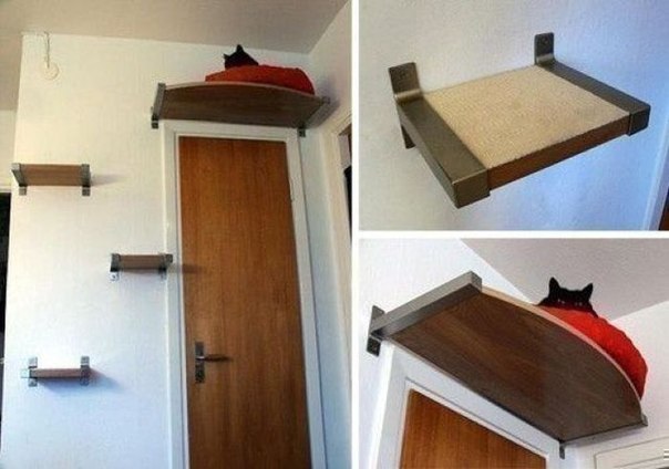  Tüm Kedi Resimleri Gifleri Swf (Sadece Kediler)