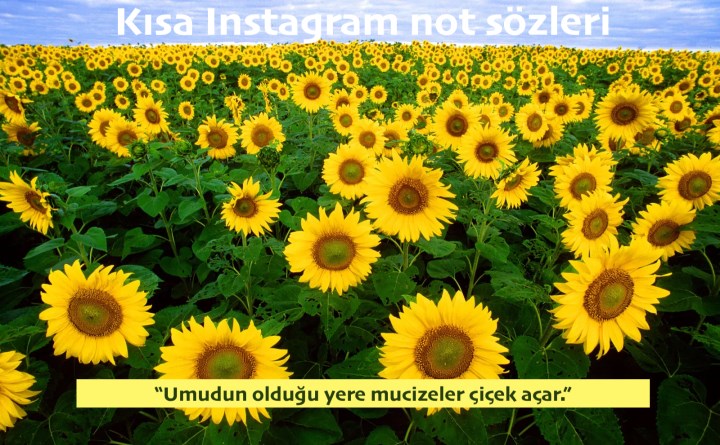 Instagram biyografi sözleri: En güzel Insta not & bio sözleri