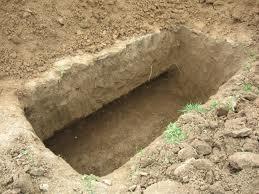  BEDAVA TABLET....