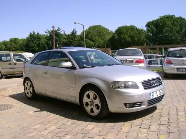  AUDI SAHIPLERI VE ADAYLARININ BIRLESTIGI TOPIK