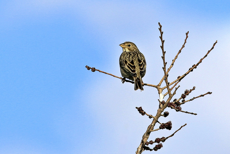  CANON EOS 70D SAHİPLERİ KULÜBÜ