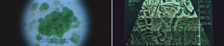  Ghost In The Shell 2(2004) The Matrix(1999) ten alıntı yapmıştır. MATRIX