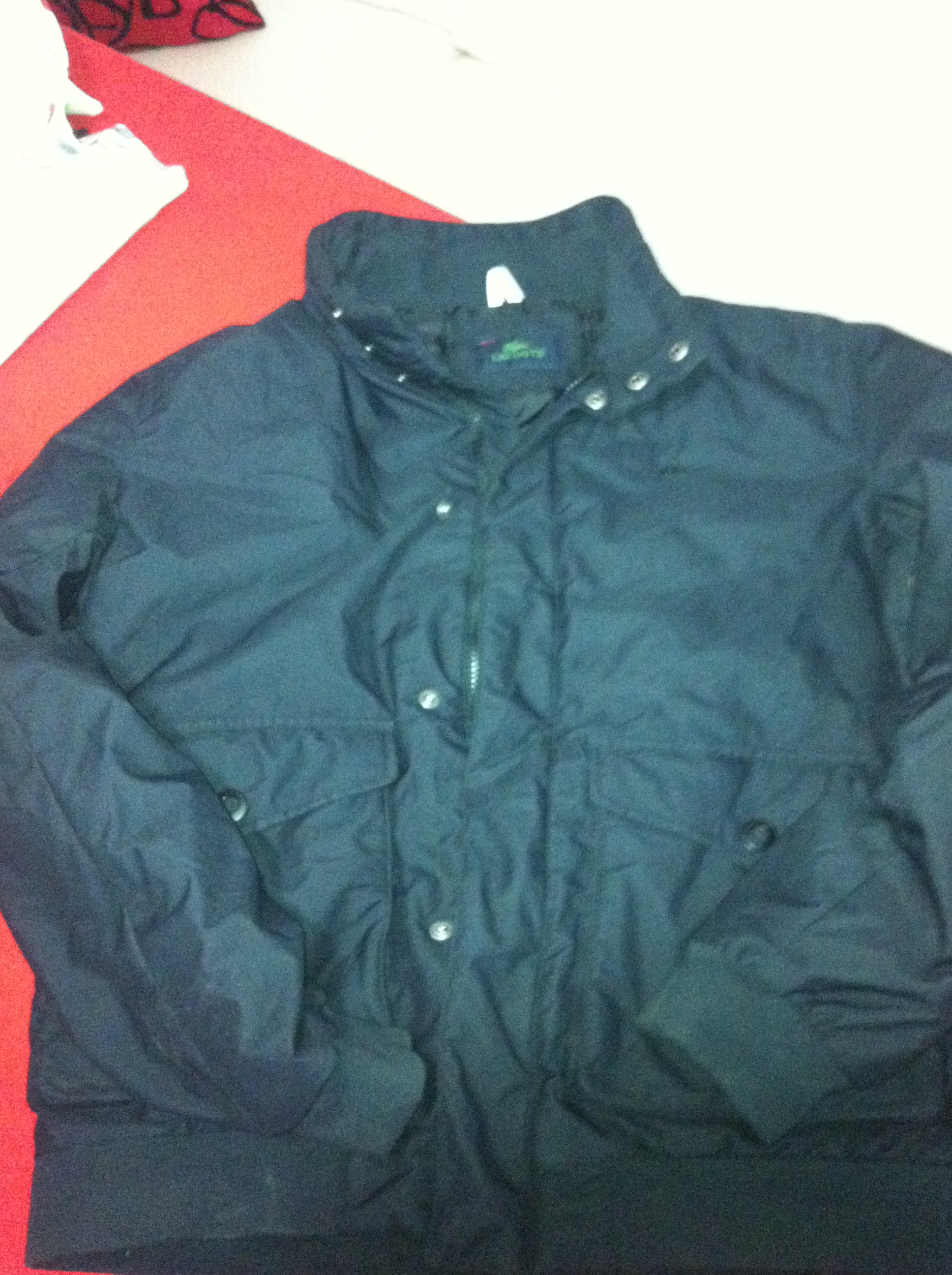  lacoste montlar