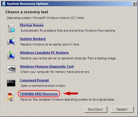  Toshiba HDD Recovery (D diskinden)