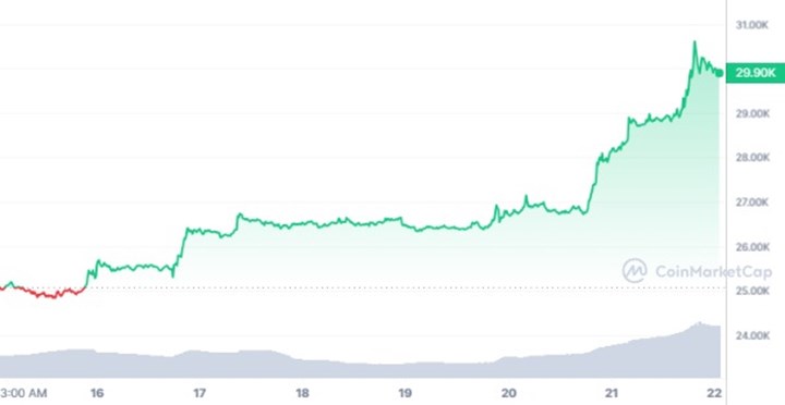 Bitcoin fiyatı yeniden 30 bin dolar, bir haftada yüzde 25 yükseliş