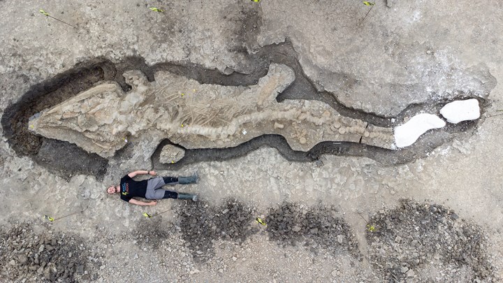 180 milyon yıllık devasa deniz ejderhası fosili bulundu