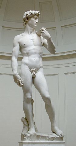  Michelangelo'nun David Heykeli (Erkek Heykeli)