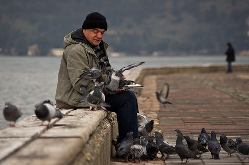  ■■■Sadece SOKAK Fotoğrafları Paylaşım Başlığı■■■