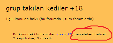  grup takılan kediler +18