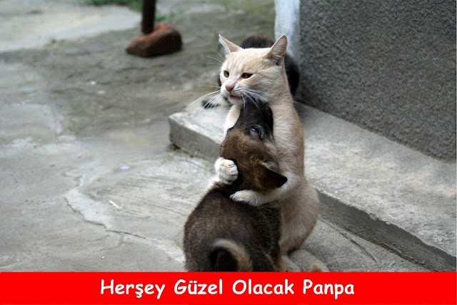  SUAN AGLİYORUM BEYLER