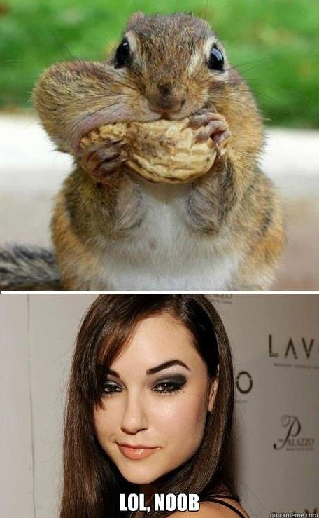  Sasha grey