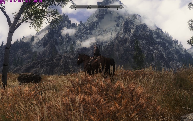 The Elder Scrolls V: Skyrim (2011) / Special Edition (2016) [ANA KONU]