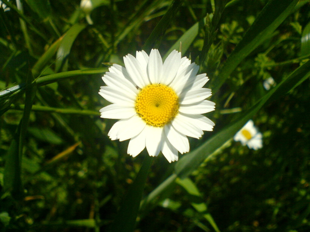  Fotoğraf çekmek zevkli iş