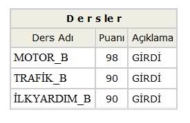  Beyler Ehliyet Almaya Hak Kazandım