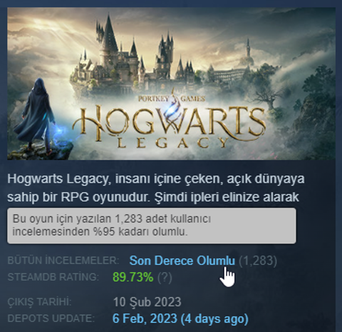 Hogwarts Legacy (2023) [PC ANA KONU]