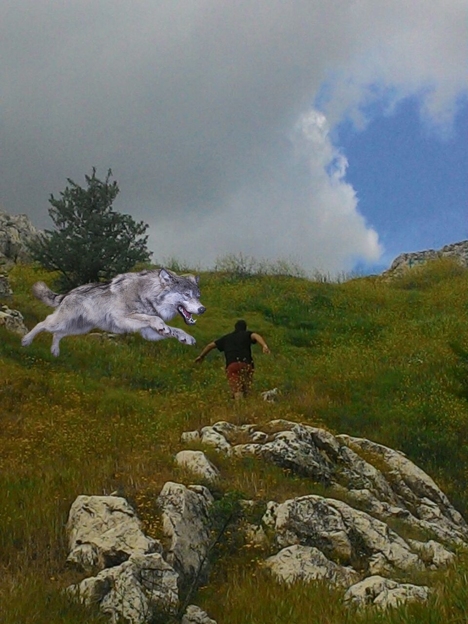  ARKADAŞLAR ŞU RESME ARKAMDAN KÖPEK KOŞUYORMUŞ GİBİ YAPAR MISINIZ? [FOTOSOPCULAR KONUYA LUTFEN]