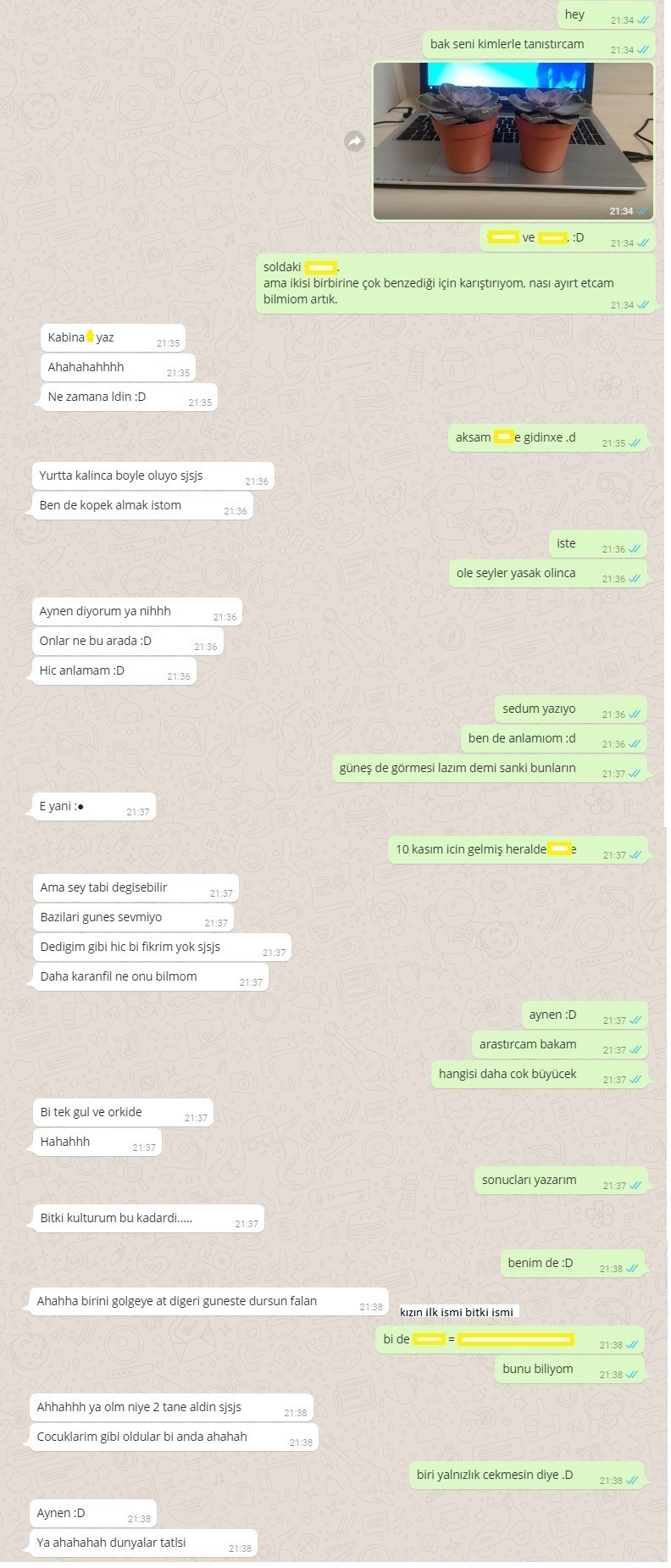 Kız WhatsApp'tan dünyalar tatlısı yazdı [SS'li]