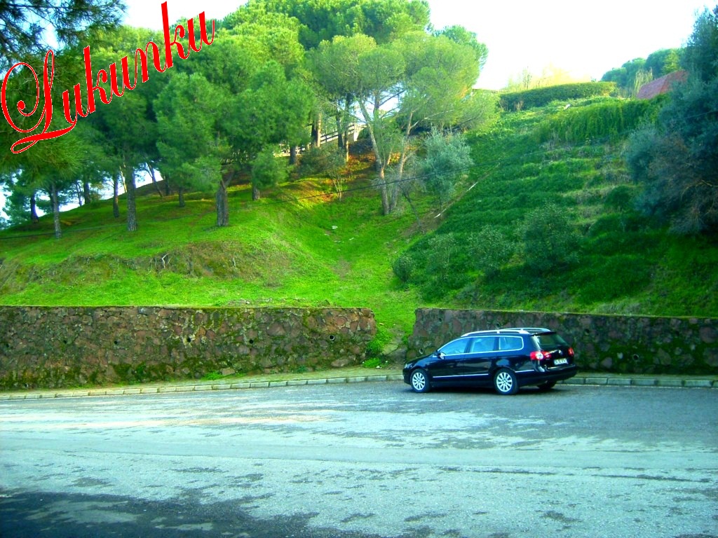  ...::  Ford Connect Muhabbet Odası  ::...