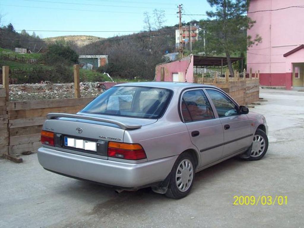 Королла 95 года. 92---98 Efsane Toyota Corolla. Тойота Королла похожа на марка 100. СТС Тойота Королла 94 года. Toyota Corolla 1996 купе ночью.
