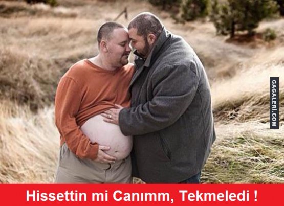  Kediler Toplanti Yaparken Cektim SS li