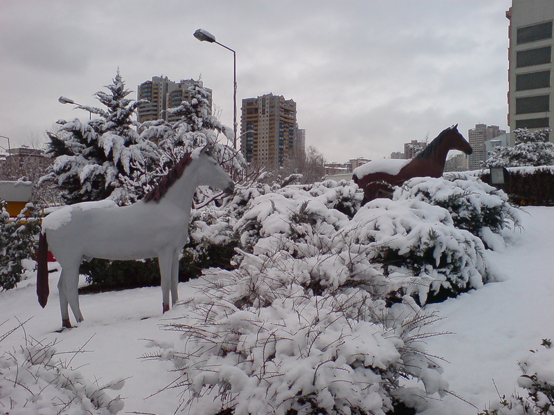  ===>3,2MPLİ k770/K790/K810/C510/P1 FOTOĞRAF PAYLAŞIM ARENASI<===