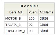  15 Aralık 2012 Ehliyet sınav sonucum(SS geldi)