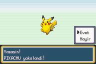 pokemon fire red turkce