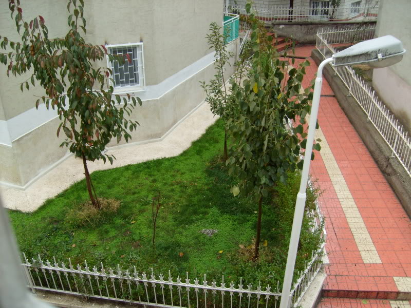  ===>3,2MPLİ k770/K790/K810/C510/P1 FOTOĞRAF PAYLAŞIM ARENASI<===