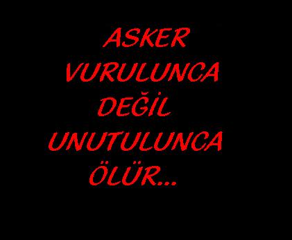  Şehitlerimizi Anma Kulubü> Askerler vurulunca değil unutulunca ölür!!