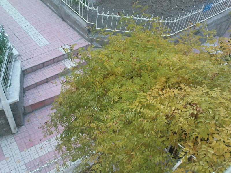  ===>3,2MPLİ k770/K790/K810/C510/P1 FOTOĞRAF PAYLAŞIM ARENASI<===