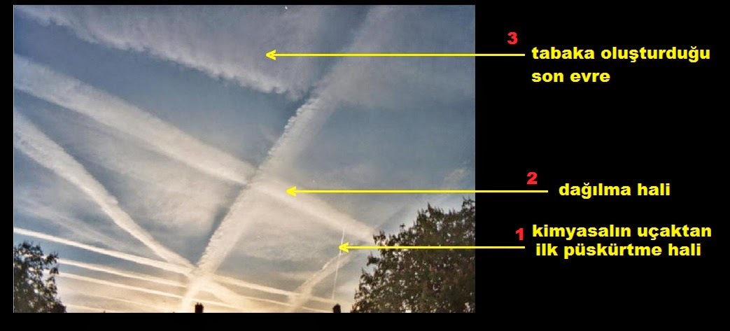 Chemtrails over the Country Club обложка. Chemtrails over the Country Club. Chemtrails over the Country Club Video. Песня chemtrails over the country