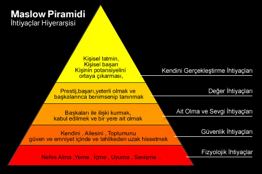  Bütün ırklar eşit midir ?