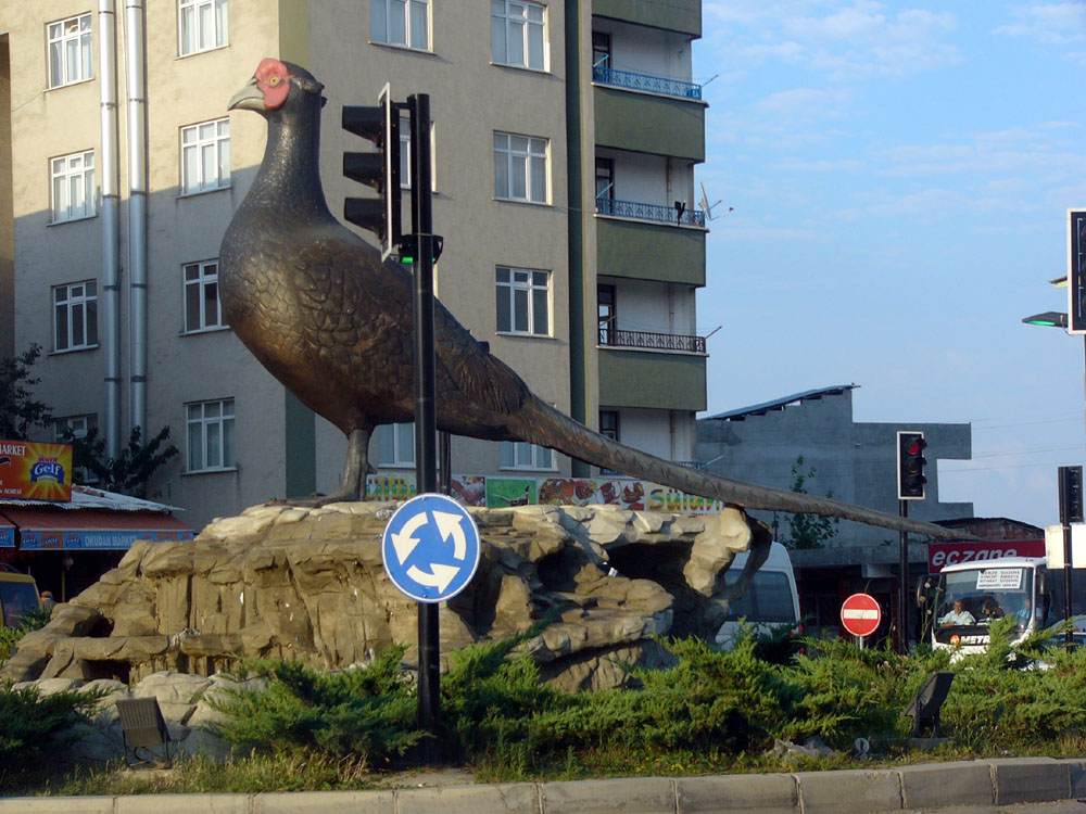  Karadeniz'in En Gelişmiş Şehri