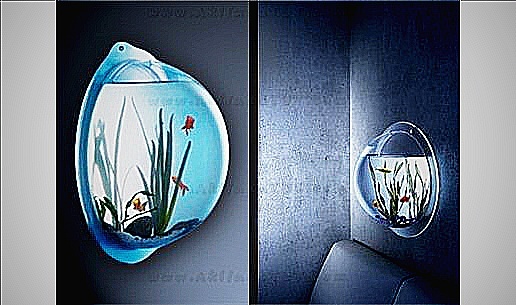  Mini Dekoratif Duvar Akvaryumu Minivarium