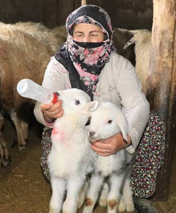 Çobanlık bir peygamber mesleğidir