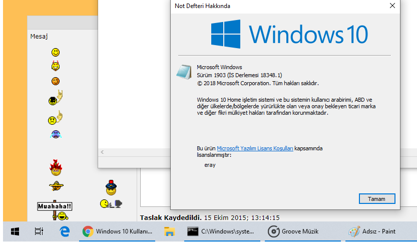 Windows 10 Kullanılır Mı?