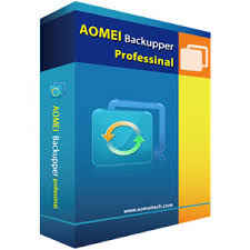 AOMEI Backupper Professional 5.3 1 Yıllık Lisans