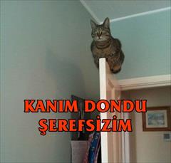 instagram dm den ses kaydı indirme