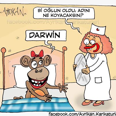  İsminizin yanına karikatür yazıp Google'da aratıyoruz ilk çıkanın SS'ni koyuyoruz
