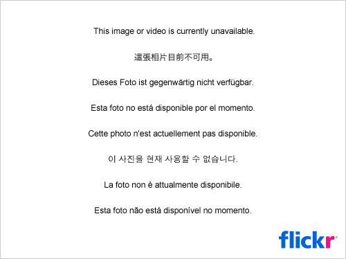  #BU FOTOĞRAFLARI HANGİ MAKİNE ÇEKİYOR??? SATILIK FUJIFILM F31FD VE F30