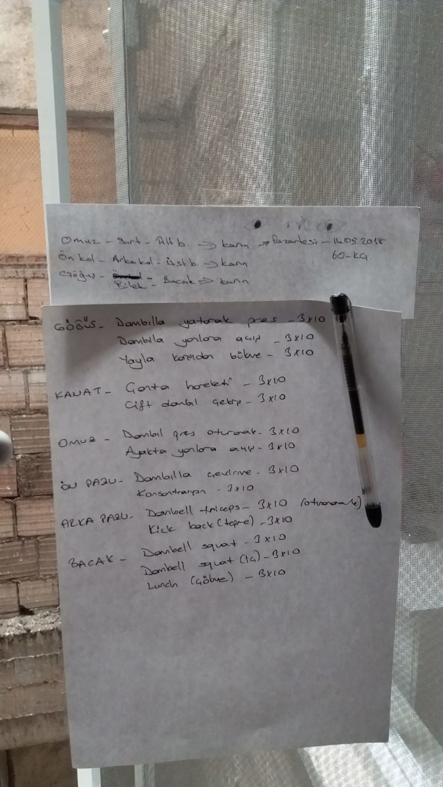 Dambıl ile vücut geliştirme.
