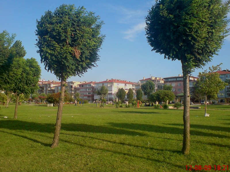  ===>3,2MPLİ k770/K790/K810/C510/P1 FOTOĞRAF PAYLAŞIM ARENASI<===