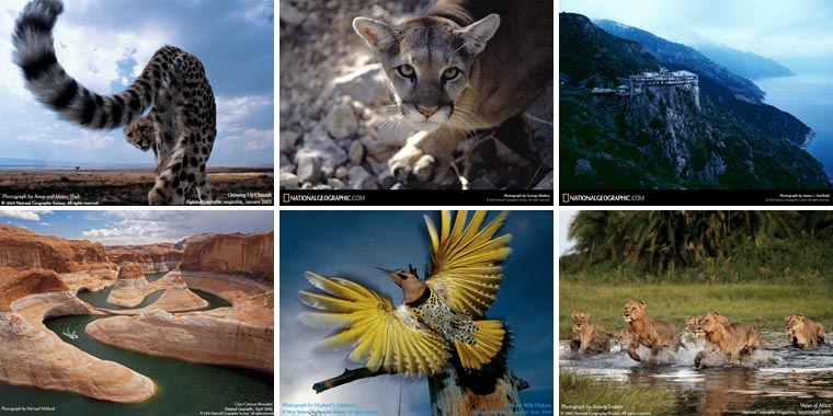  National Geographic Duvar Kağıtları Bol Miktarda