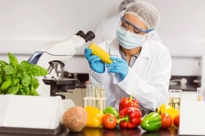 Nanoteknoloji nedir, nerelerde kullanılır? (Uygulamaları ve örnekleri)